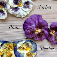 Load image into Gallery viewer, Rice paper Pansy Flower- bundle of 6