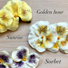 Load image into Gallery viewer, Rice paper Pansy Flower- bundle of 6