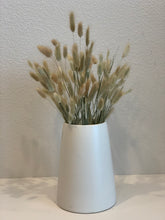 Load image into Gallery viewer, Dried bunny tail bunch- approx. 60 stems
