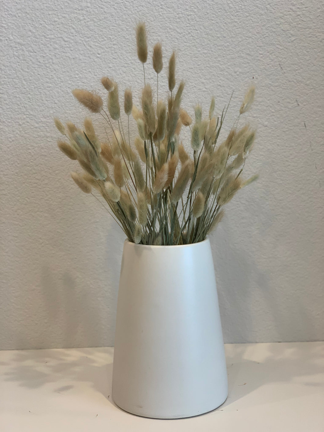 Dried bunny tail bunch- approx. 60 stems